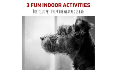 3 Fun Indoor Activities for a Rainy Day