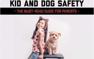 Kid And Dog Safety