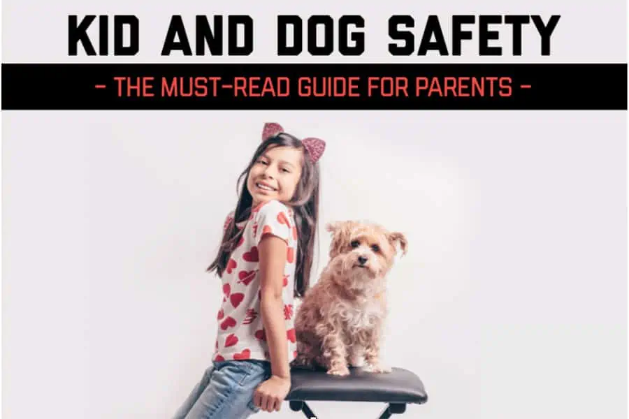 Kid And Dog Safety